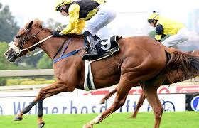 2017-2018 A season to remember!