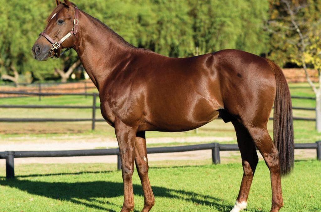 Tuesday double for Flower Alley