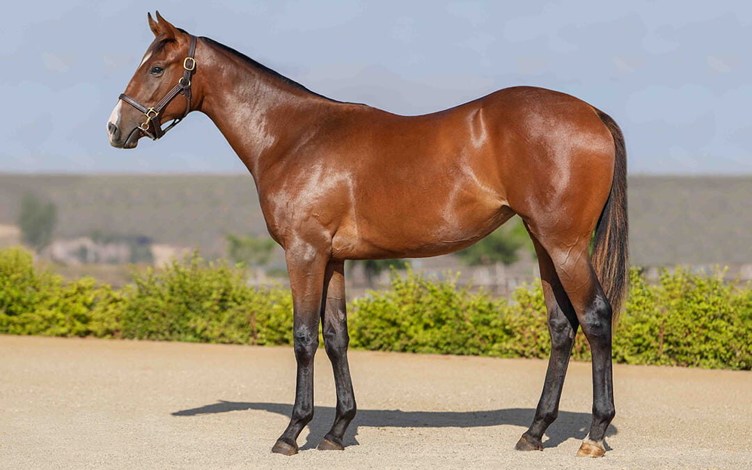 Lot 123 Pocket Change