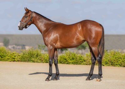 Lot 123 Pocket Change