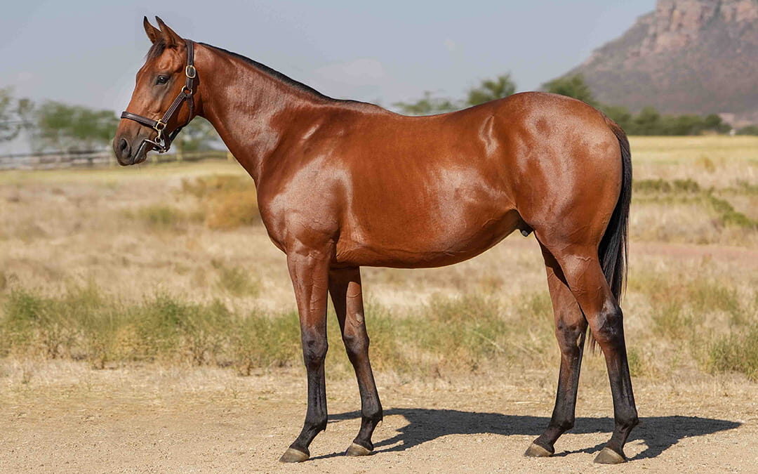 Lot 139 You’ve Got Mail