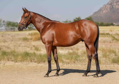 Lot 139 You’ve Got Mail