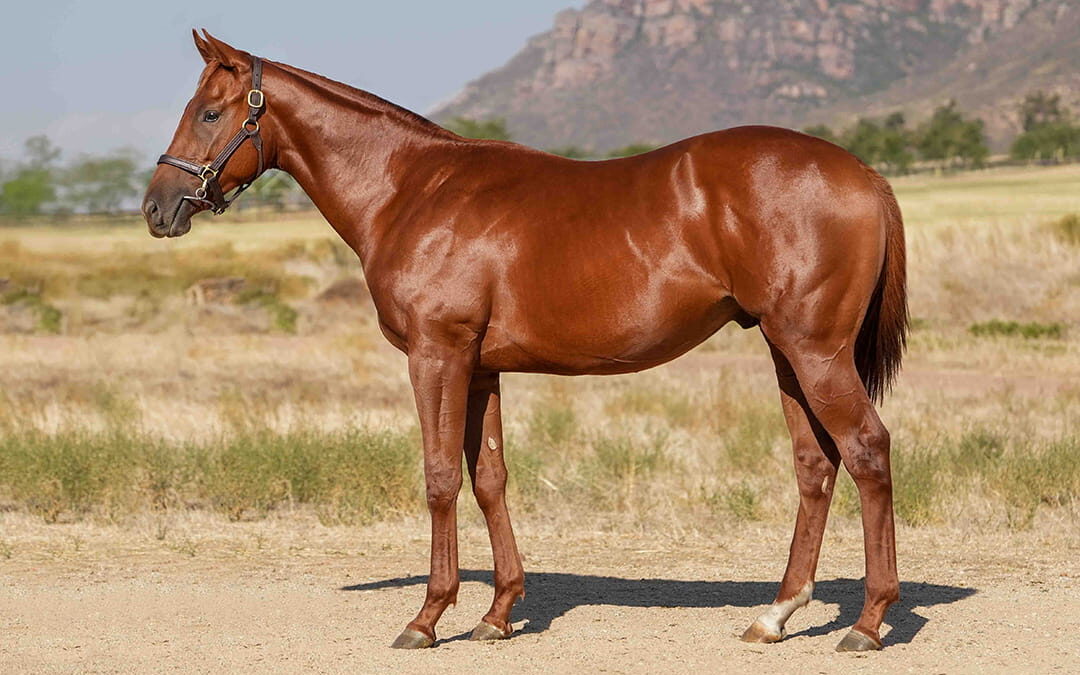 Lot 154 Jack Skellington