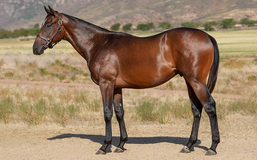 Lot 160 Shutter Speed