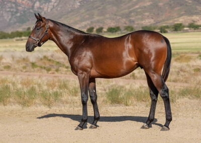 Lot 160 Shutter Speed