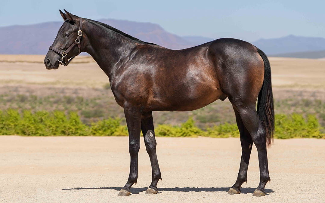 Lot 18 Florian Flame