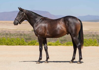 Lot 18 Florian Flame