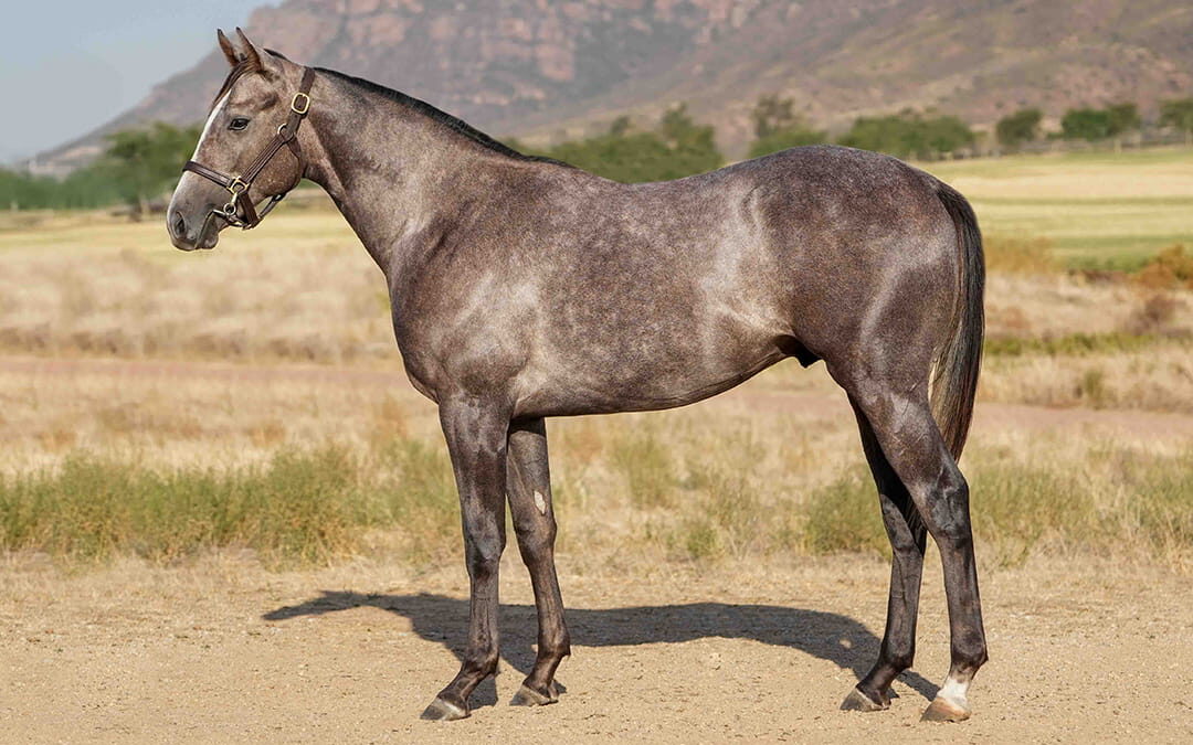 Lot 40 Platinum And Gold