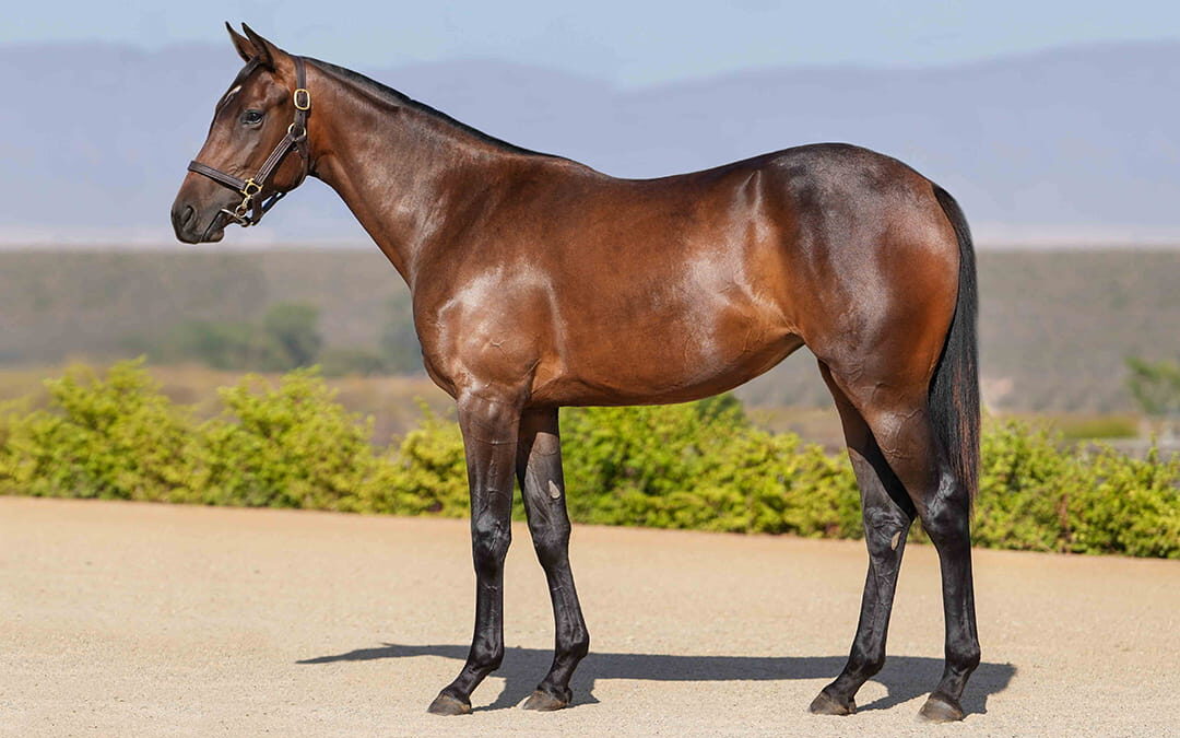 Lot 48 Nickels And Dimes