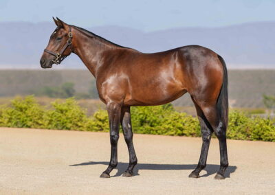 Lot 48 Nickels And Dimes