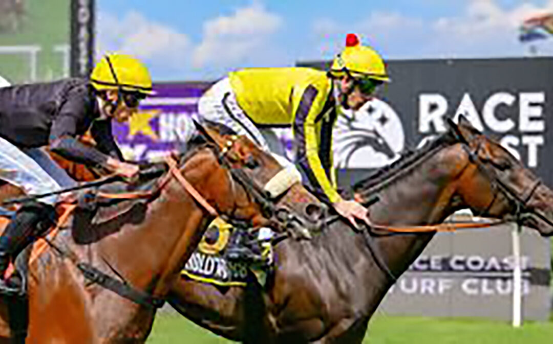 Fire Away gelding makes it three in a row