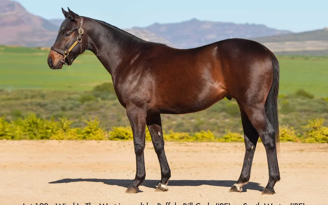 Lot 190 Wind In The West