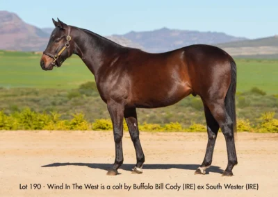 Lot 190 Wind In The West