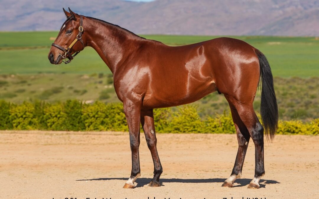 Lot 251 Epic Wave