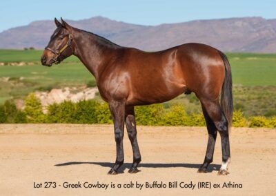 Lot 273 Greek Cowboy