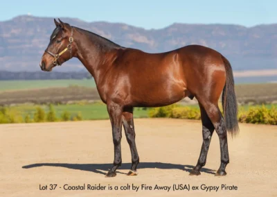 Lot 37 Coastal Raider